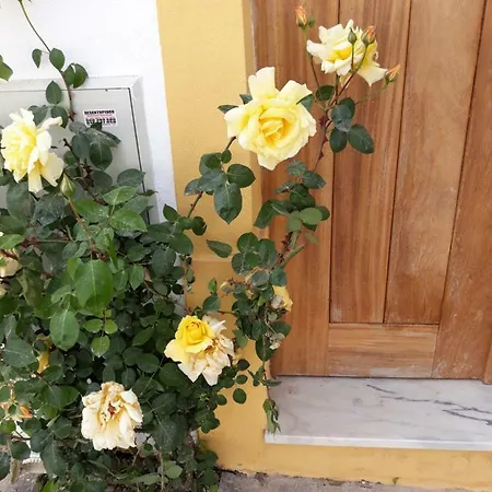 Casa D'avo * Miranda do Corvo