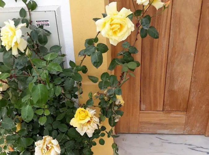 Casa D'avo * ميراندا دو كورفو